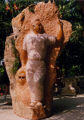 Tosato